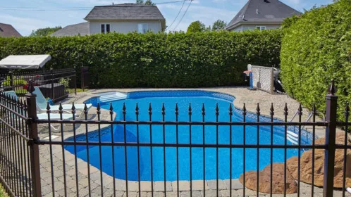 A black aluminium fence surrounding a backyard swimming pool with a hedge in the background