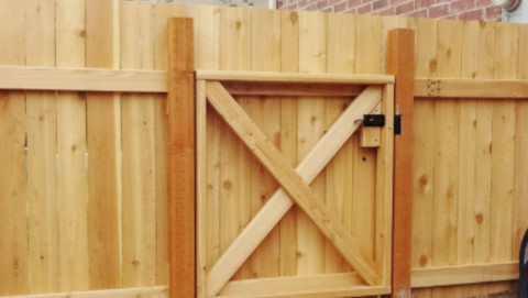 Pedestrian Gates