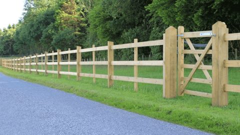 Pedestrian Gates