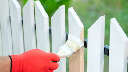 Timber Fence Painting