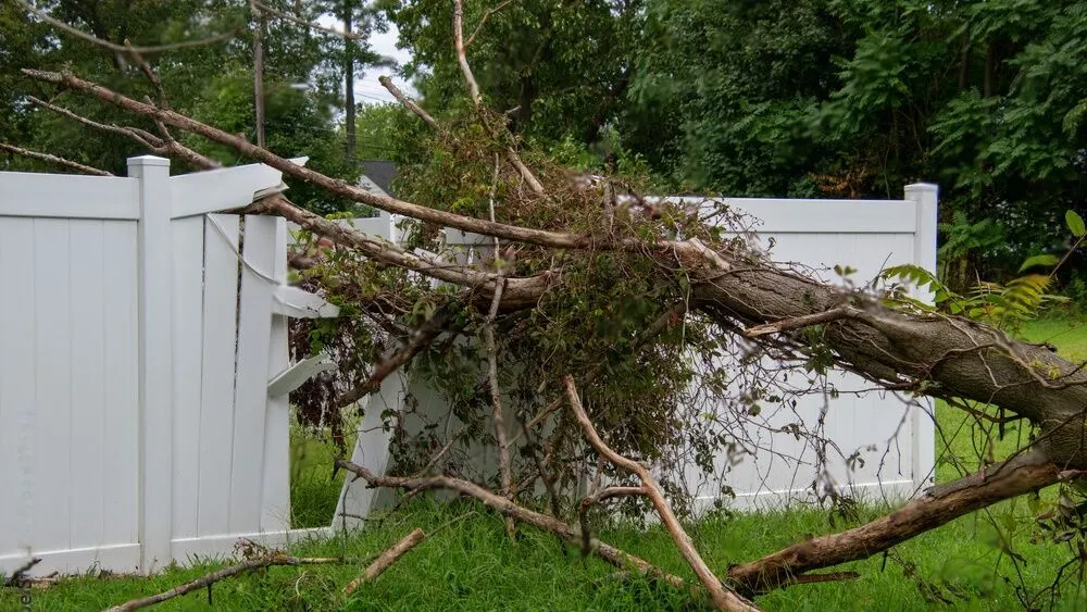 Storm & Weather Damage