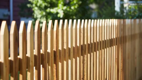 Timber picket garden fence in a sunlit New Zealand backyard
