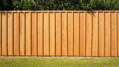 Vertical timber board garden fence with green hedging behind it