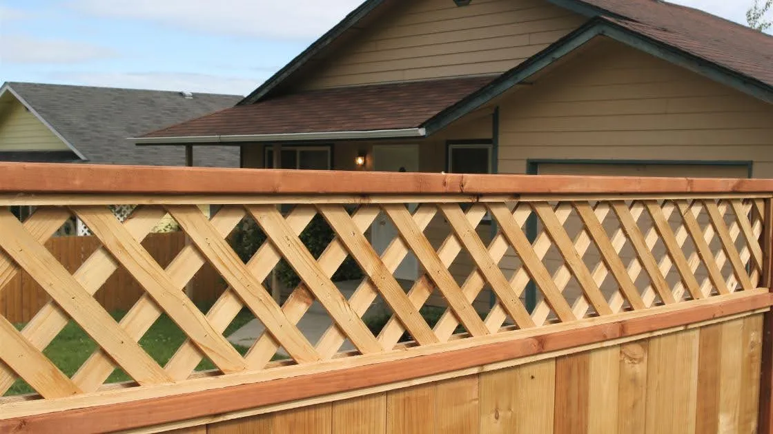 Timber fence with diagonal lattice top panel in a suburban yard