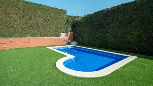 A swimming pool in a backyard with a tall hedge acting as a privacy fence