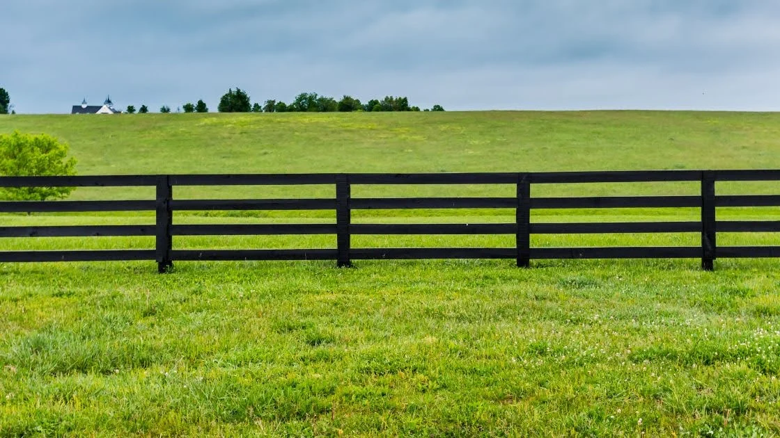 Dark timber post and rail fence bordering a green paddock