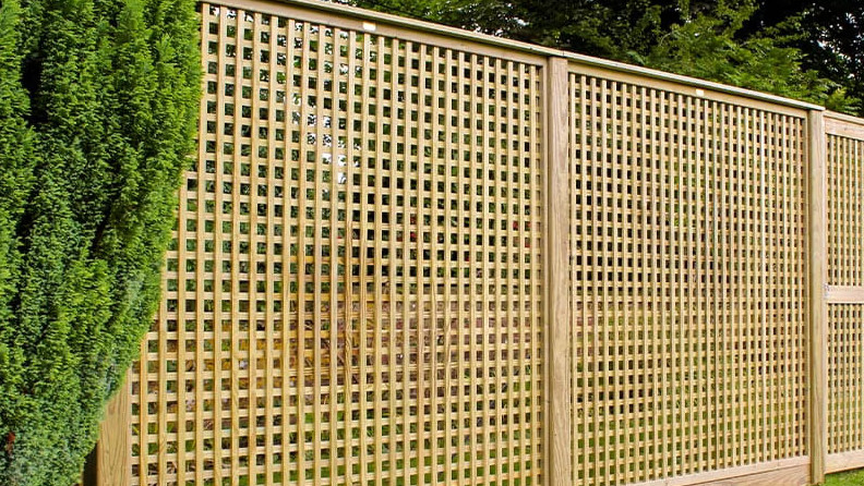 Trellis Fence