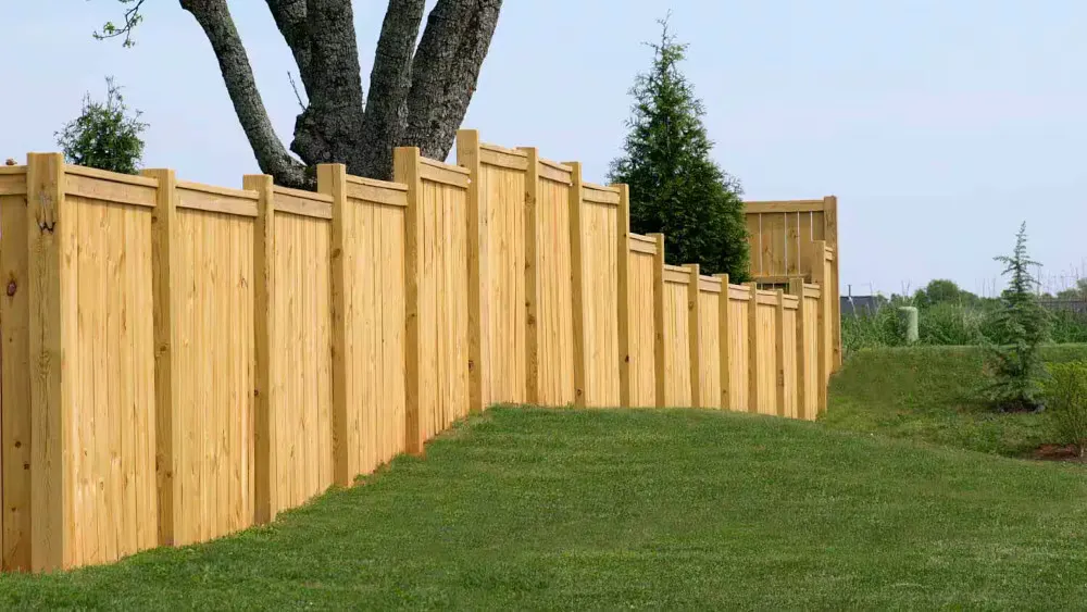 Stepped timber privacy fence installed down a grassy slope beside a large tree