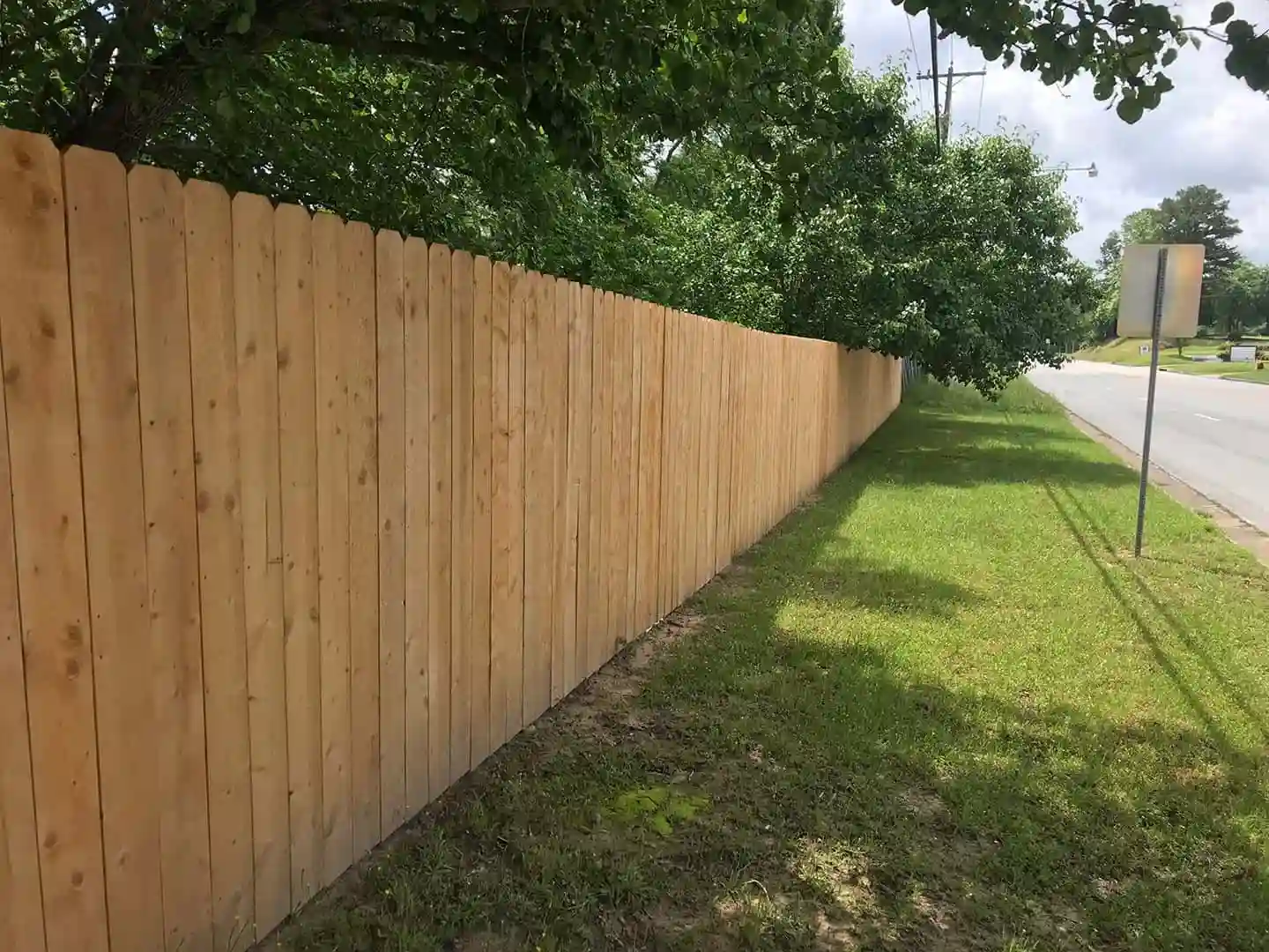 Tall timber paling fence running along a residential boundary