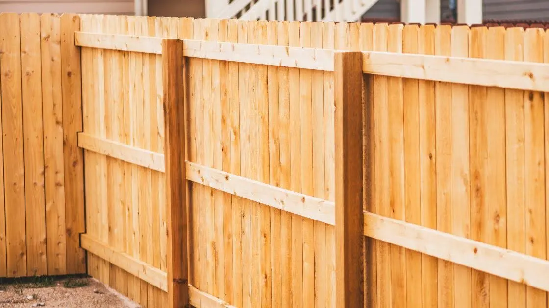 Timber paling fence with capped posts running along a New Zealand backyard