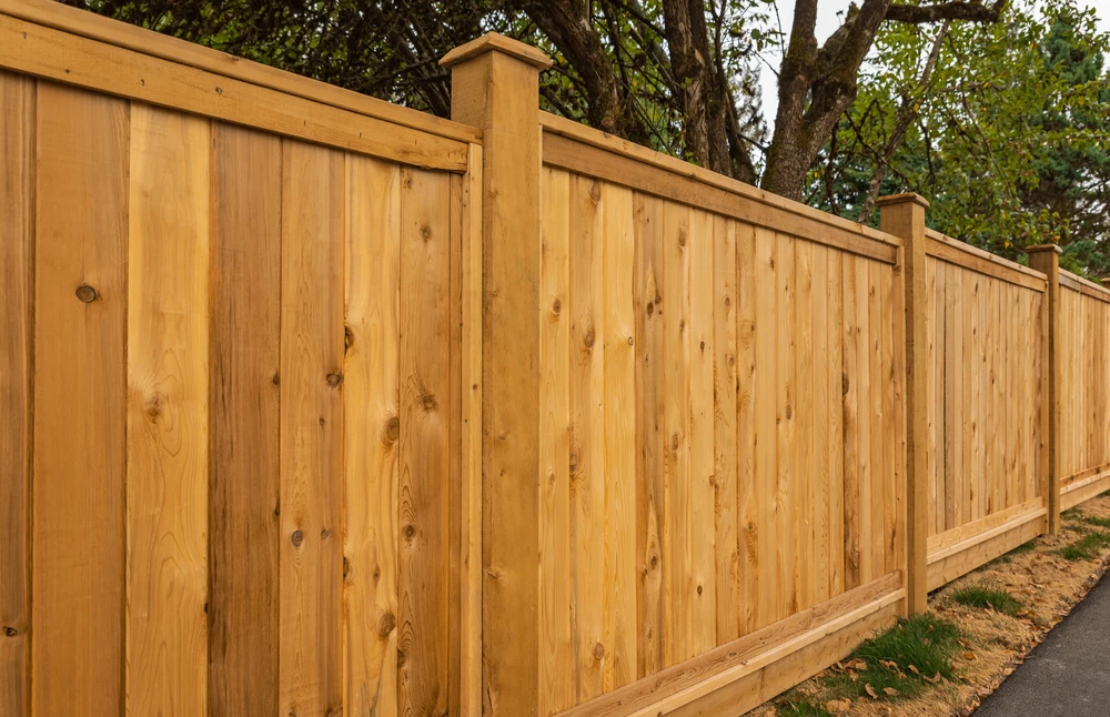 Tall cedar timber paling fence with capped posts running along a lawn