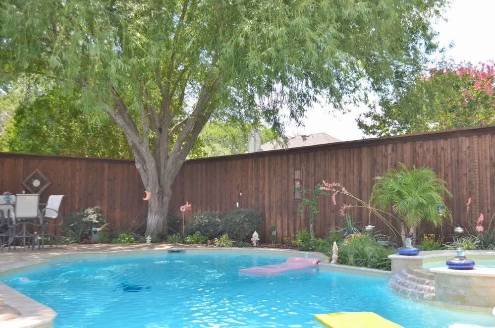 Timber privacy fence stained dark brown surrounding a backyard swimming pool