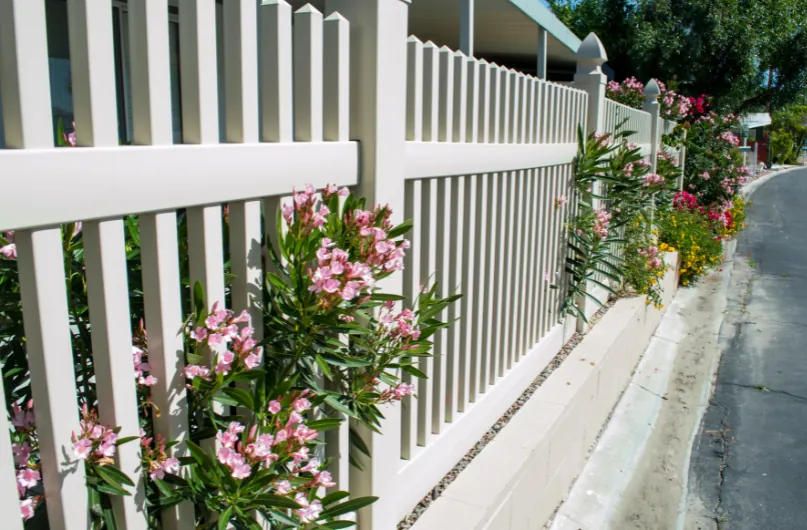 Cream vinyl fence bordering a road with pink flowering shrubs growing along it