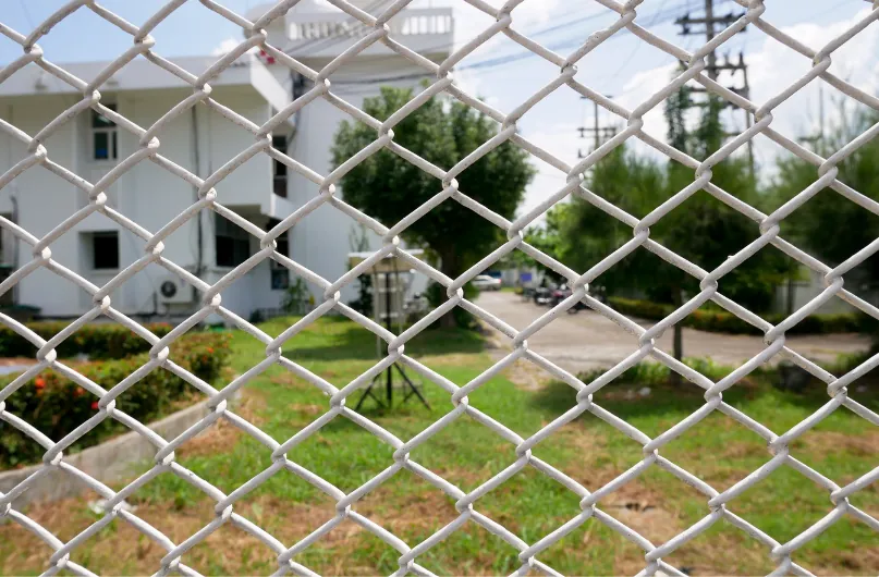 Close-up view of a white chain link fence with a building and green lawn in the background