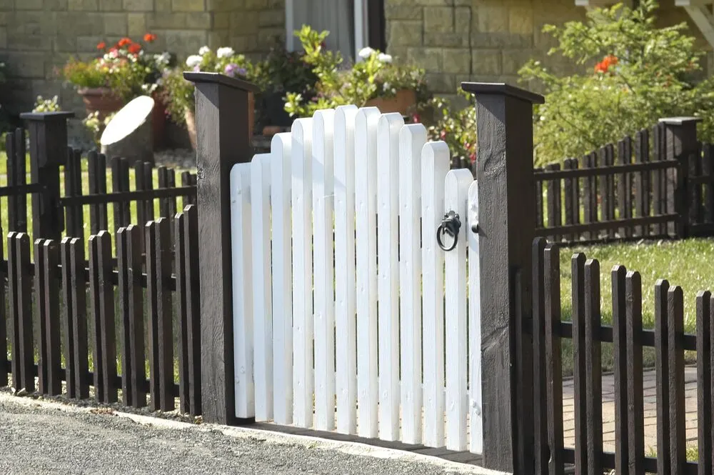 A white picket gate set within a dark wooden fence in a garden setting