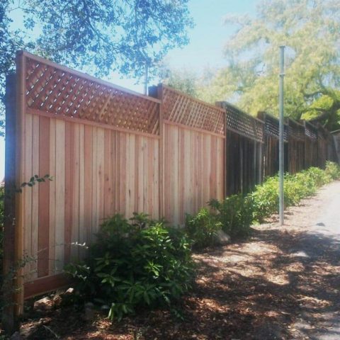 About Us — Real Fencing: Auckland's #1 Fence Company